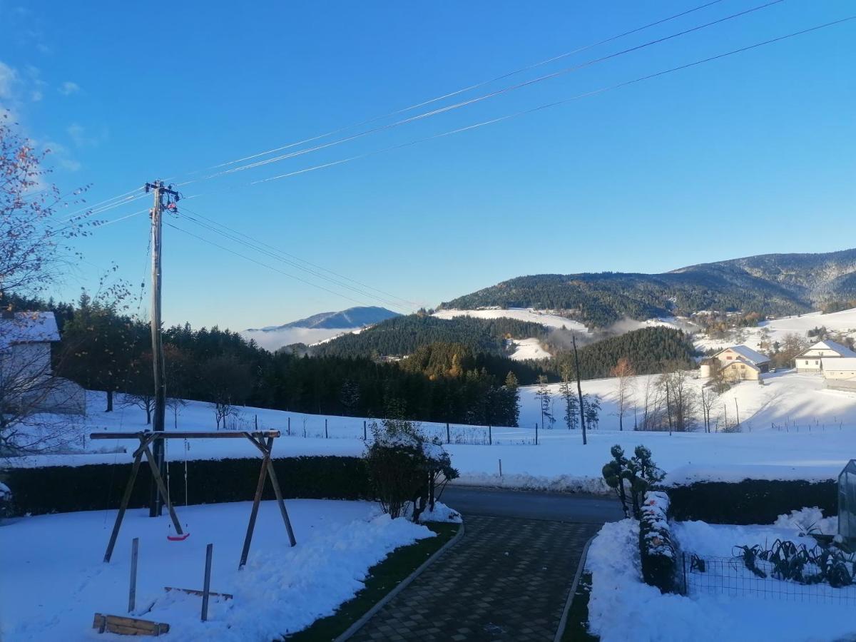 Apartma Tia 2 Zreče Extérieur photo